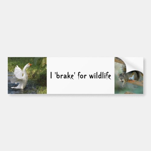 I brake for wildlife Goose Squirrel Bumper Sticker