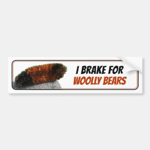 I Brake for Woolly Bears Bumper Sticker