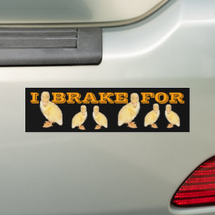 I BRAKE FOR Yellow Duckling Photo Personalized Bumper Sticker
