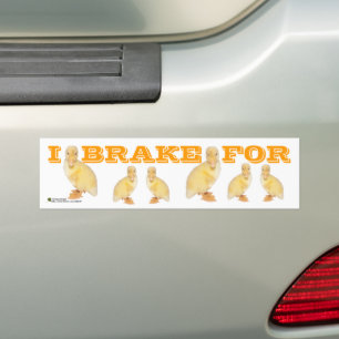 I BRAKE FOR Yellow Duckling Photo Personalized Bumper Sticker
