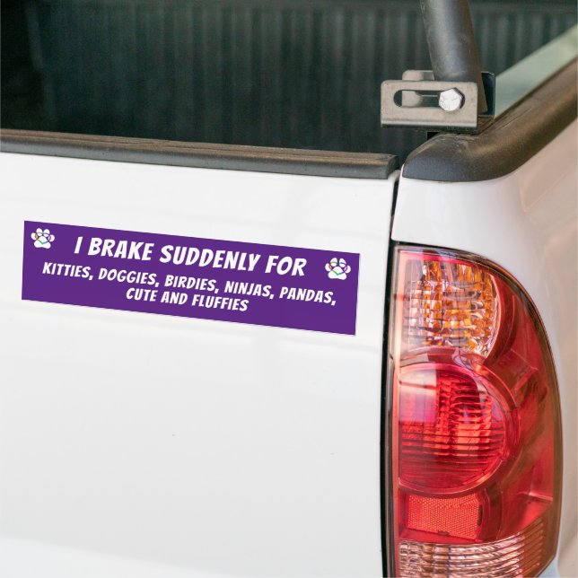 I BRAKE SUDDENLY FOR KITTIES, DOGGIES, BIRDIES BUMPER STICKER (On Truck)
