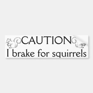 I break for squirrels bumper sticker