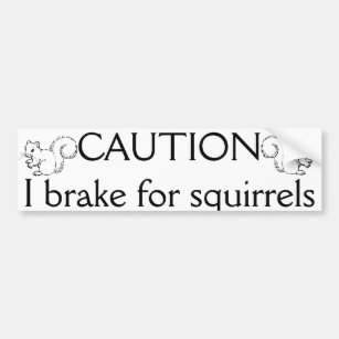 I break for squirrels bumper sticker