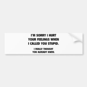 I Called You Stupid Bumper Sticker