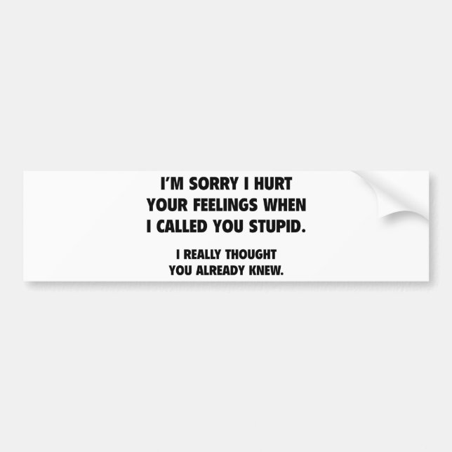 I Called You Stupid Bumper Sticker (Front)