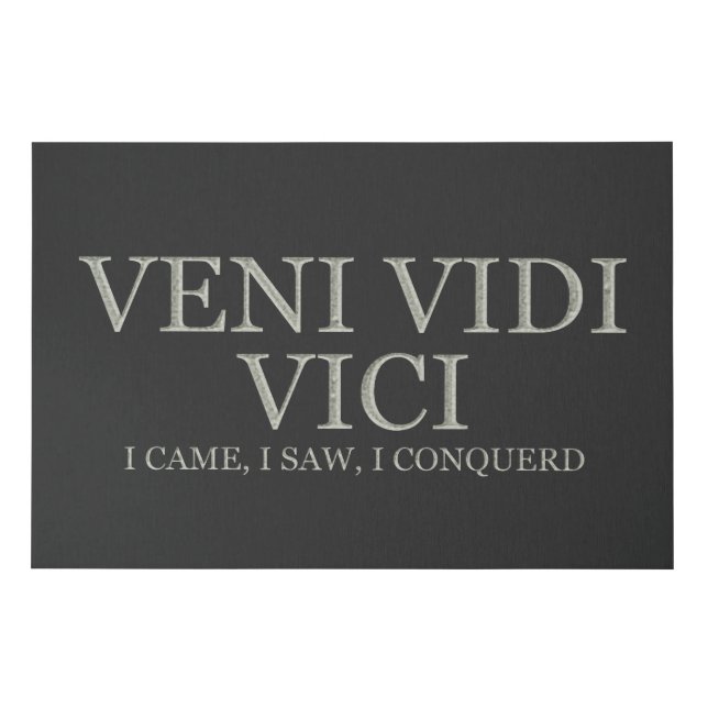 I Came, I Saw, I Conquered - Light Faux Canvas Print (Front)