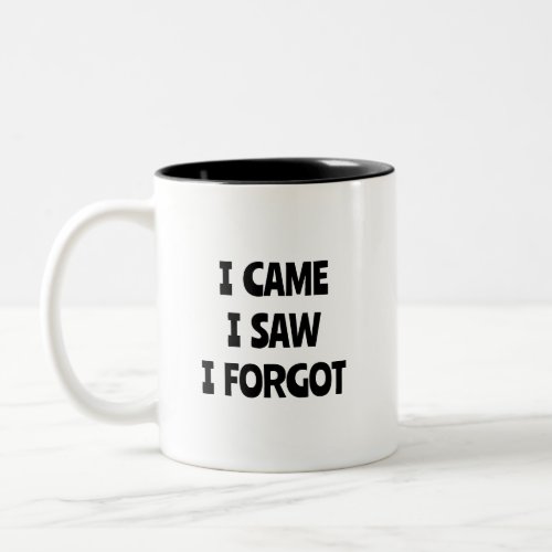 I CAME I SAW I FORGOT  Mug