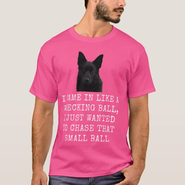 I Came In Like A Wrecking Ball Funny Dog Dad and D T-Shirt (Front)