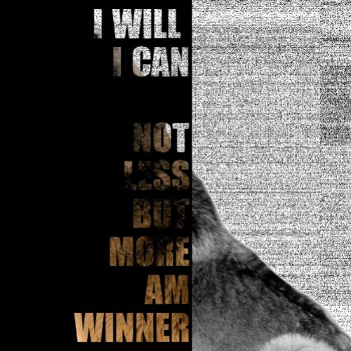 I can Am Winner T_Shirt