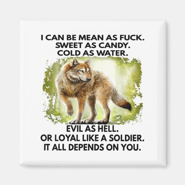 I Can Be Mean As For Sweet As Candy Cold As Water  Magnet (Front)