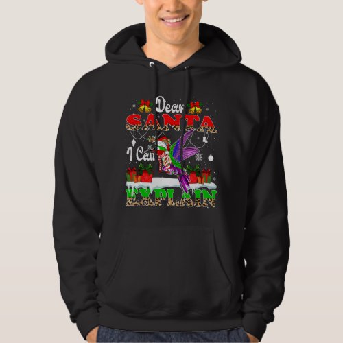 I Can Explain Funny Santa Hummingbird Birds Lover  Hoodie