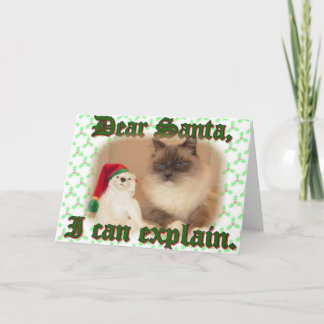 I can explain! holiday card