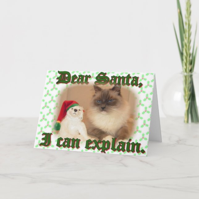 I can explain! holiday card (Front)