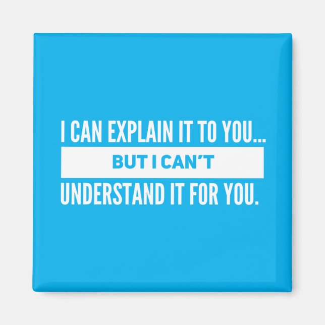 I Can Explain It To You Magnet (Front)