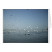 I can fly (Front Horizontal)