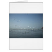 I can flying (Front)