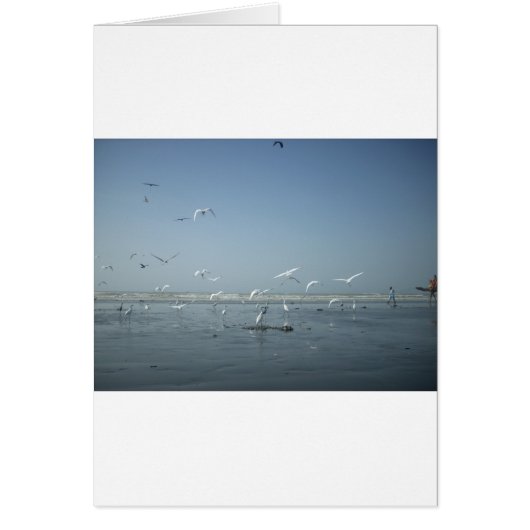 I can flying cards (Front)
