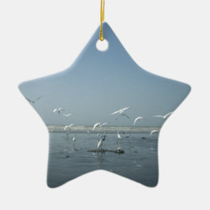 I can flying ceramic ornament