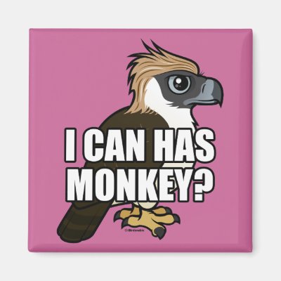 I Can Has Monkey? Magnet