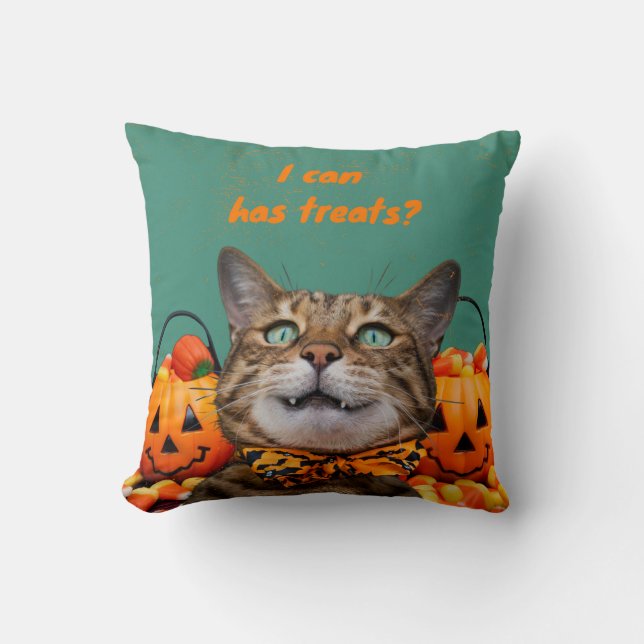 i Can Has Treats Cat Throw Pillow (Front)