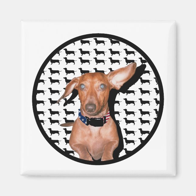 I Can Hear You Magnet (Front)