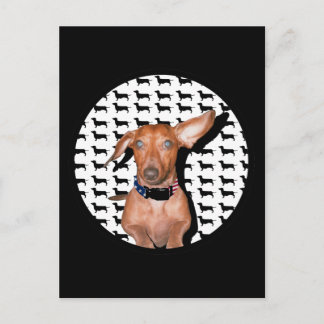 I Can Hear You Postcard