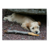 I can help you card (Front Horizontal)