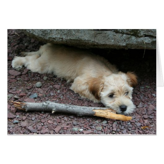 I can help you card (Front Horizontal)