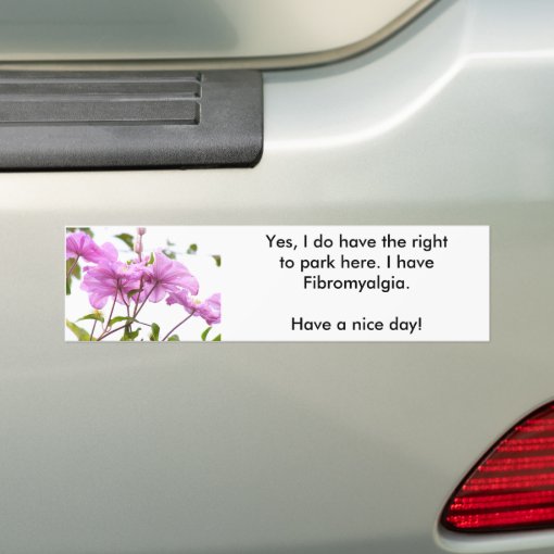 I CAN park here bumper sticker | Zazzle