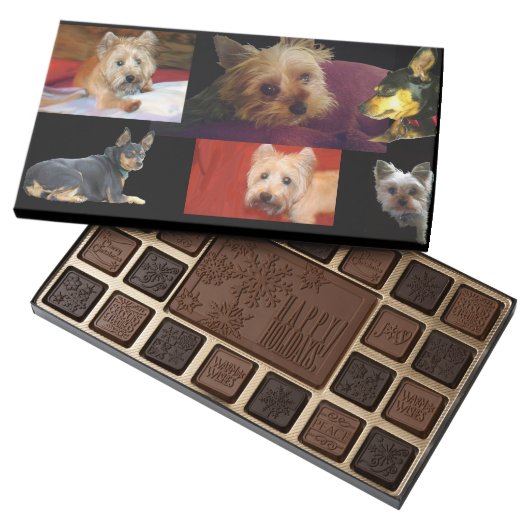 I can Put YOUR Pets on a Box of Chocolates (Opened)