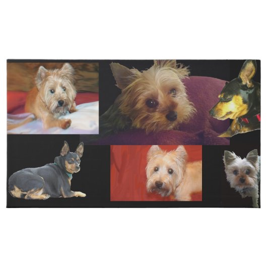 I can Put YOUR Pets on a Box of Chocolates (Front)