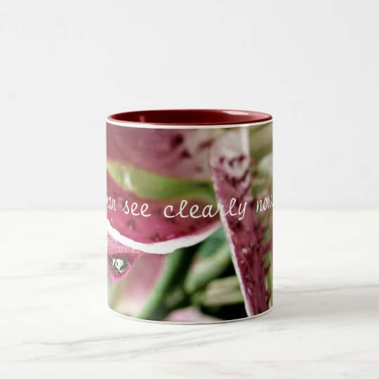 "I can see clearly now..." Two-Tone Coffee Mug
