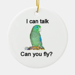 I can talk, Can you fly? Ceramic Ornament