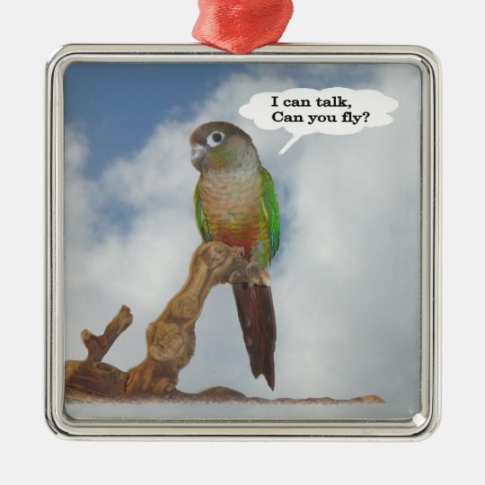I can talk, Can you fly? Metal Ornament