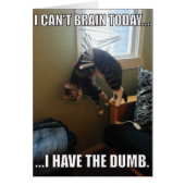 I Can't Brain Today. I Have The Dumb (cat) (Front)