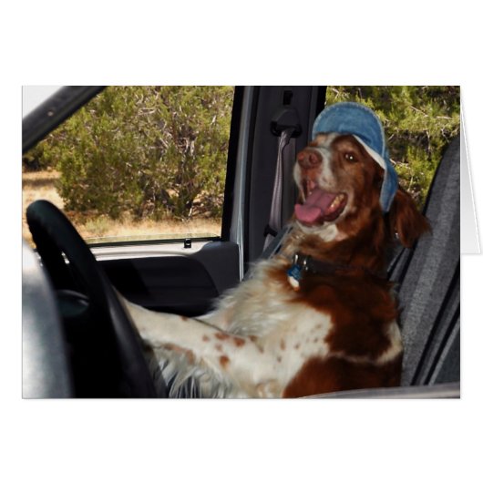 I CAN'T DRIVE 55! (Front Horizontal)