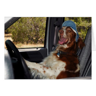I CAN'T DRIVE 55! - Customized Cards