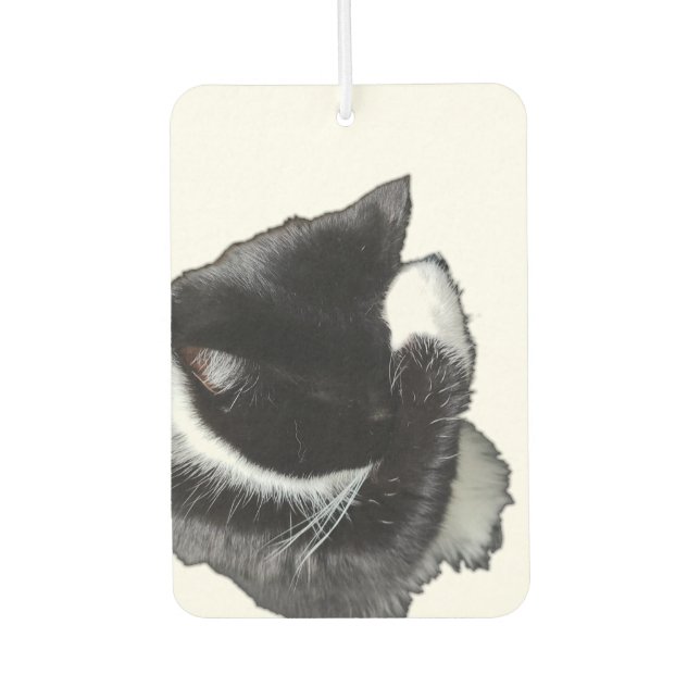 I Can't Even Right Meow Air Freshener (Front)