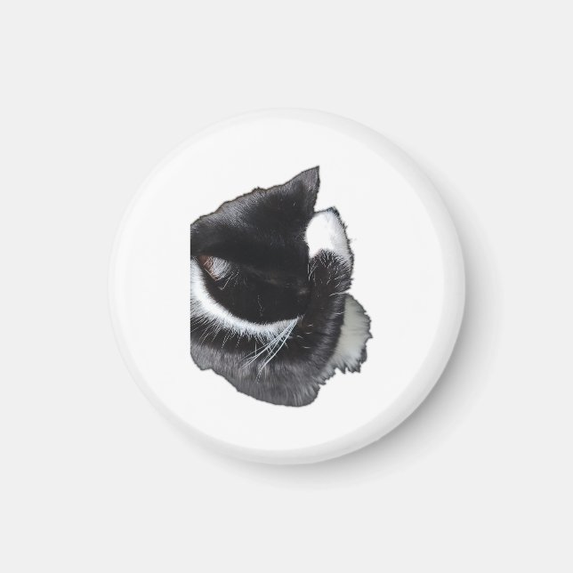 I Can't Even Right Meow Magnet (Front)