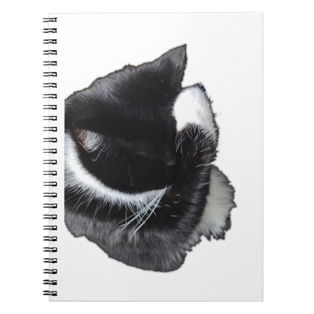 I Can't Even Right Meow Notebook (Front)