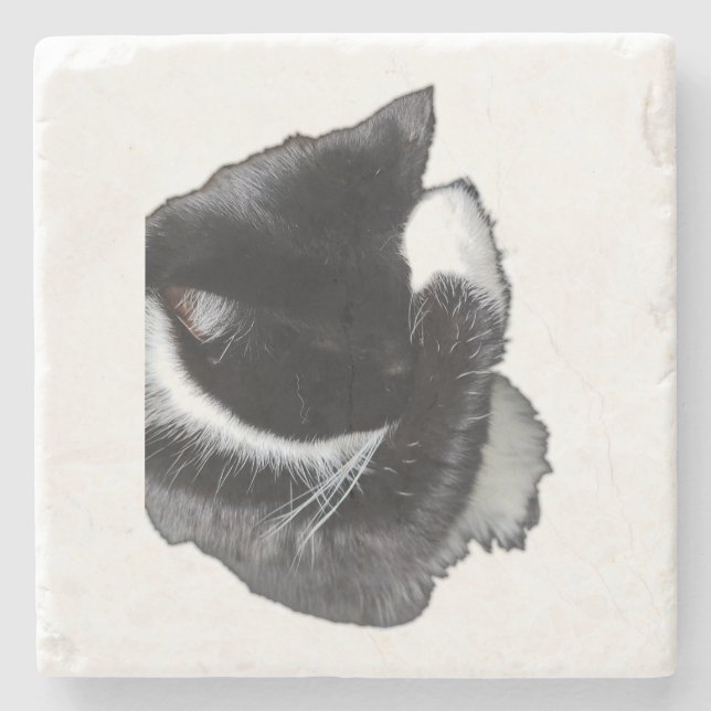 I Can't Even Right Meow Stone Coaster (Front)