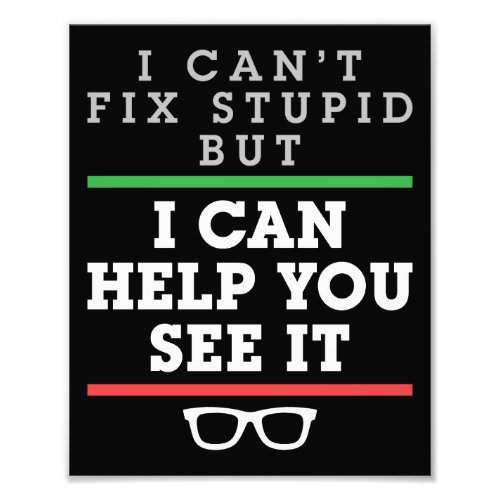I Cant Fix Stupid But I Can Help You See It Photo Print