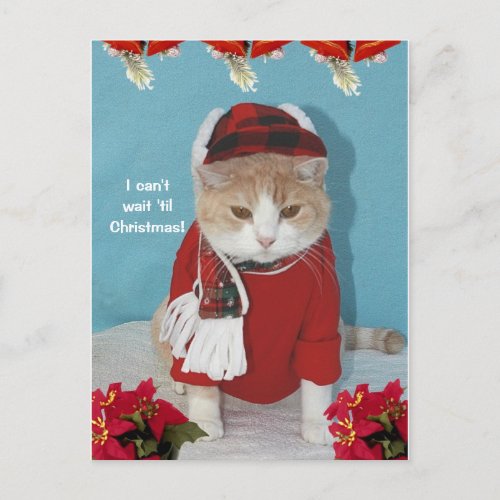 I cant wait til Christmas Holiday Postcard