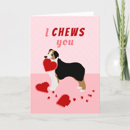 I Chews You Australian Shepherd Valentines Day Holiday Card
