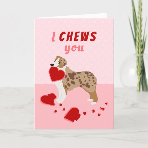 I Chews You Australian Shepherd Valentines Day Holiday Card