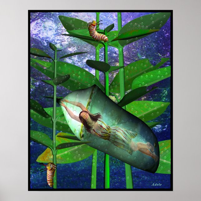 I Ching Meditations, Youthful Folly Poster (Front)