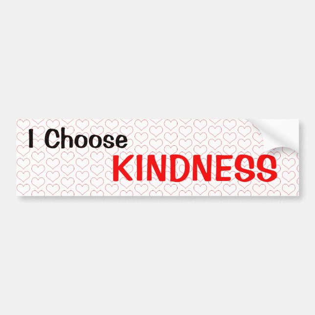 I Choose Kindness Bumper Sticker (Front)