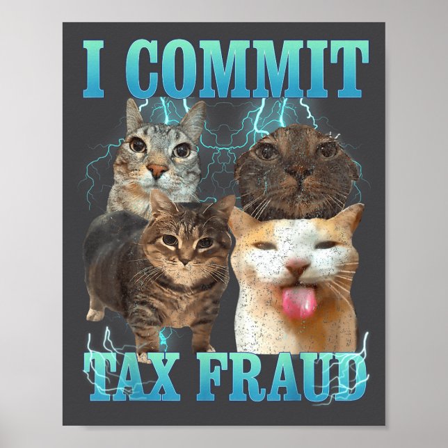 I Commit Tax Fraud Funny Cat Meme Bootleg Graphic  Poster (Front)
