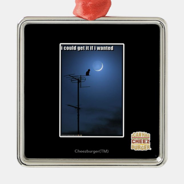 I could get it if I wanted Metal Ornament (Front)