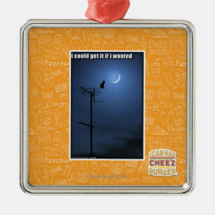 I could get it if I wanted Metal Ornament